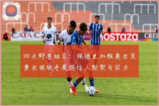 四头野兽组合：佩德里加维奥尔莫费尔明联手展现惊人默契与实力