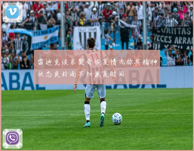 雷迪克谈东契奇恢复情况称其精神状态良好尚不知康复时间