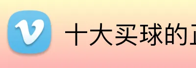 十大买球的正规网站 Logo